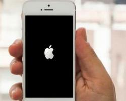 Apple trên iPhone: phải làm gì nếu điện thoại thông minh của bạn bị treo hoặc khởi động lại trên màn hình tải